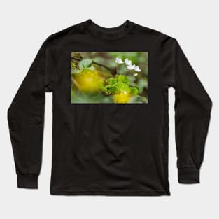 white clover in the forest Long Sleeve T-Shirt